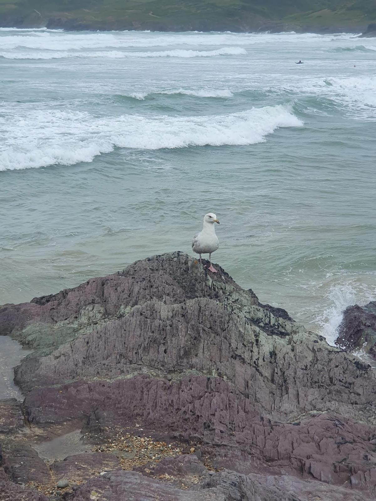 Polzeath trip photo 3